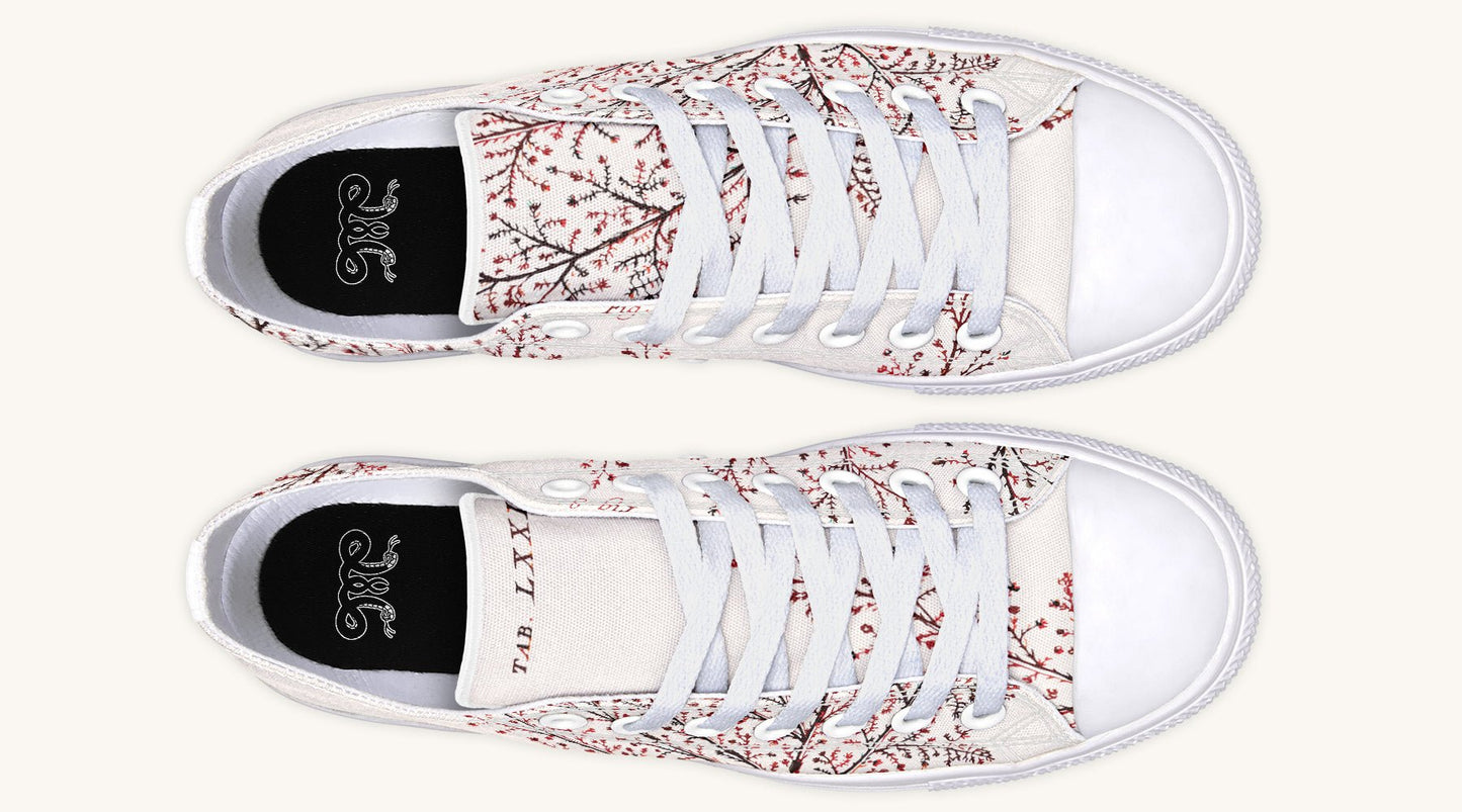 A Delicate Breath Red Lowtops - Jaded Lament