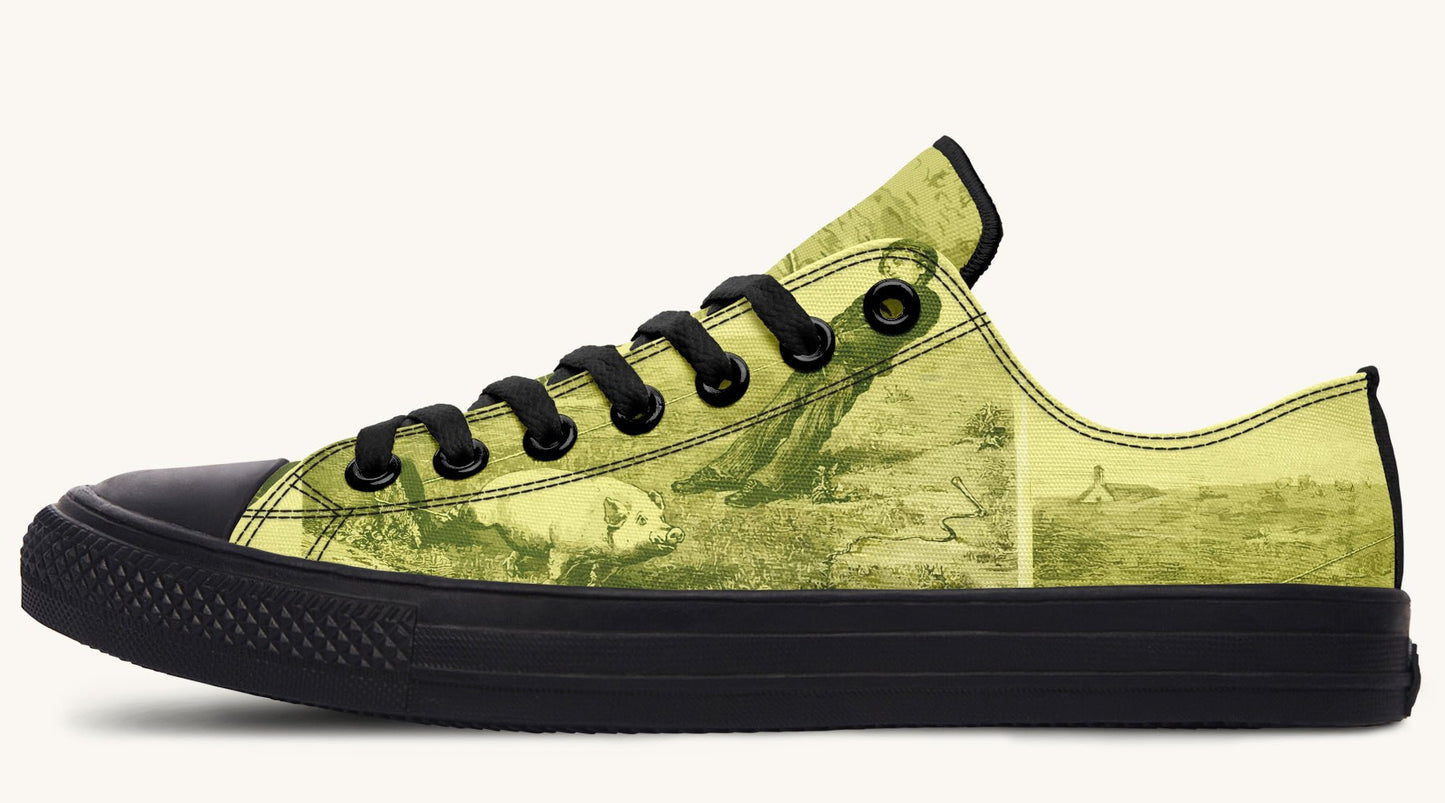 A Pig And His Boy Lowtops - Jaded Lament