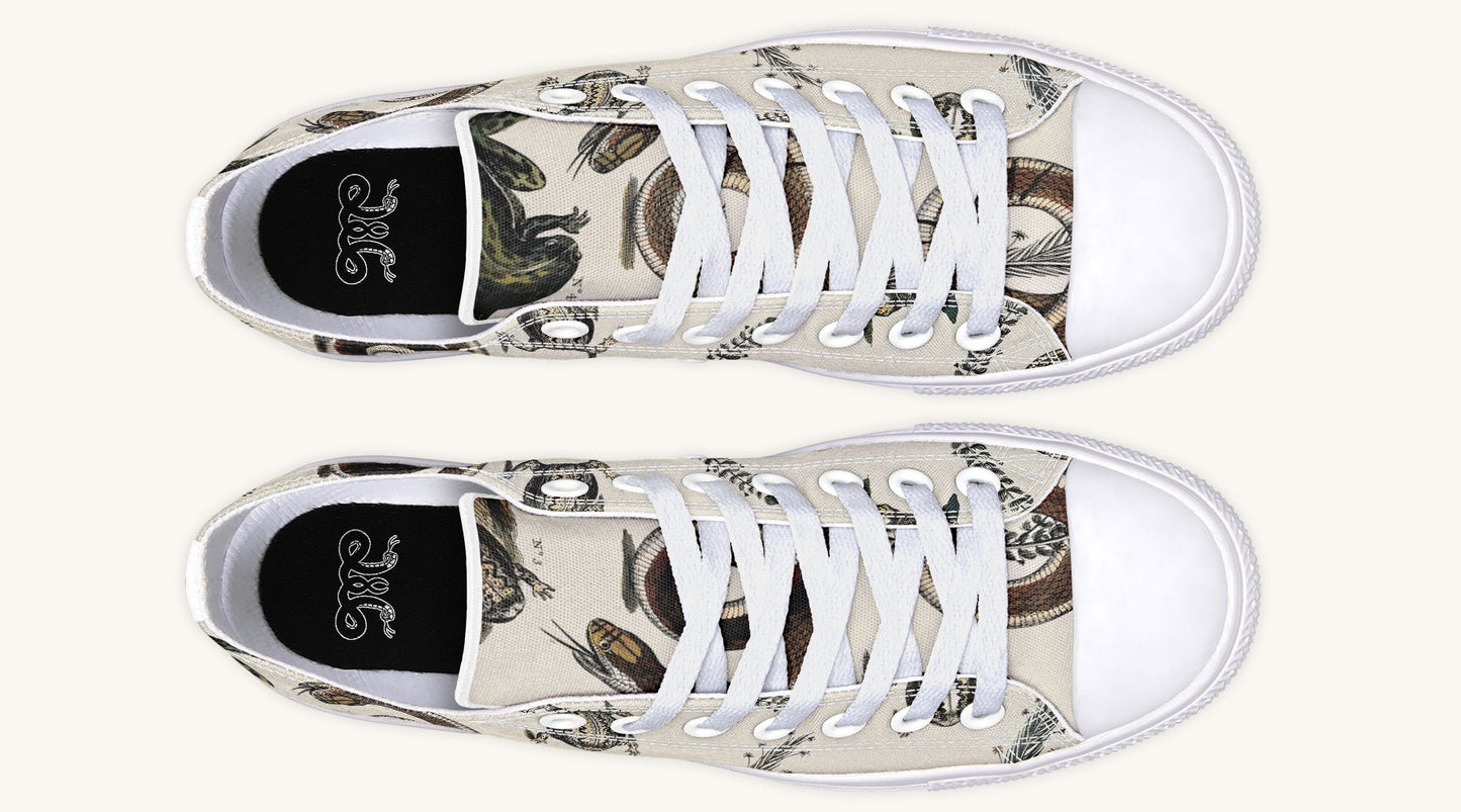 An Arrangement of Frogs and Snakes Lowtops - Jaded Lament