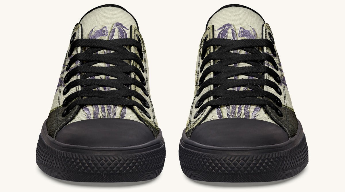 Hope Wears a Feather Emily Dickinson Lowtops - Jaded Lament