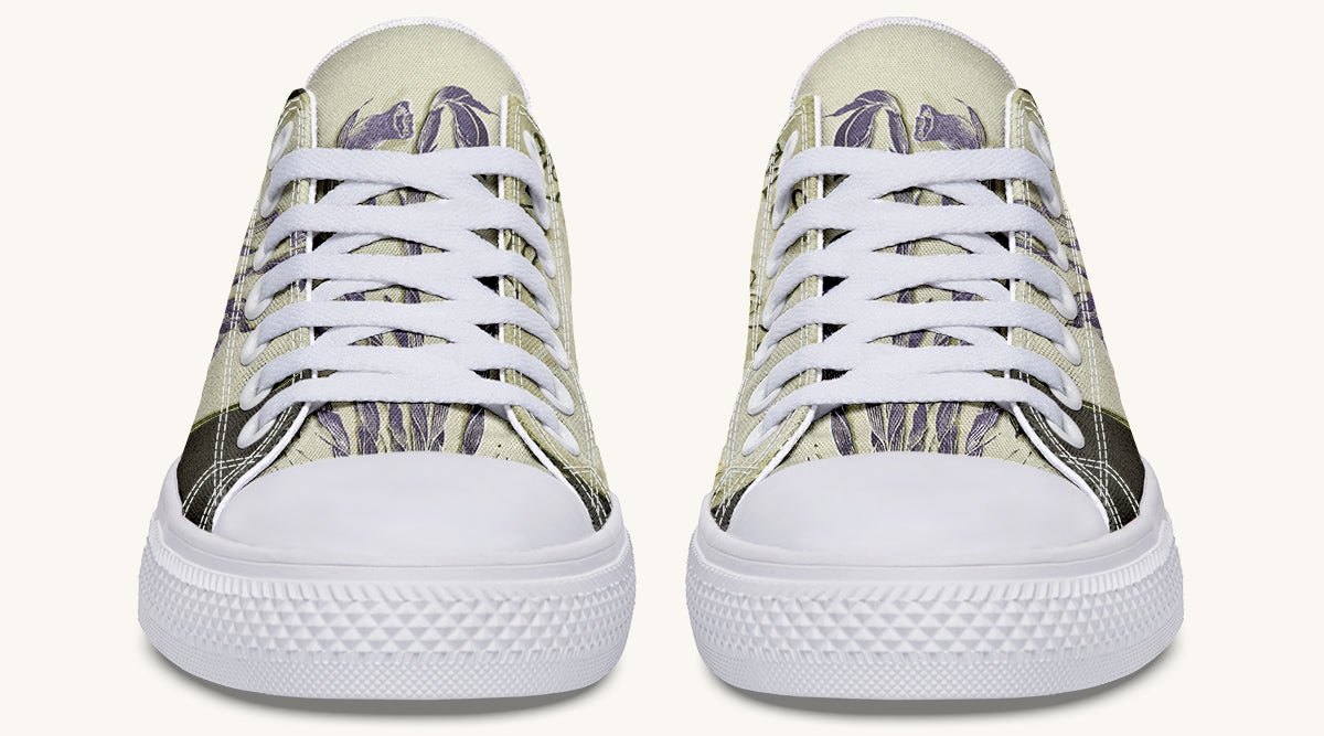 Hope Wears a Feather Emily Dickinson Lowtops - Jaded Lament