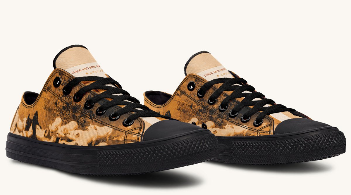 Swine Eyed And Listening To Circe Lowtops - Jaded Lament