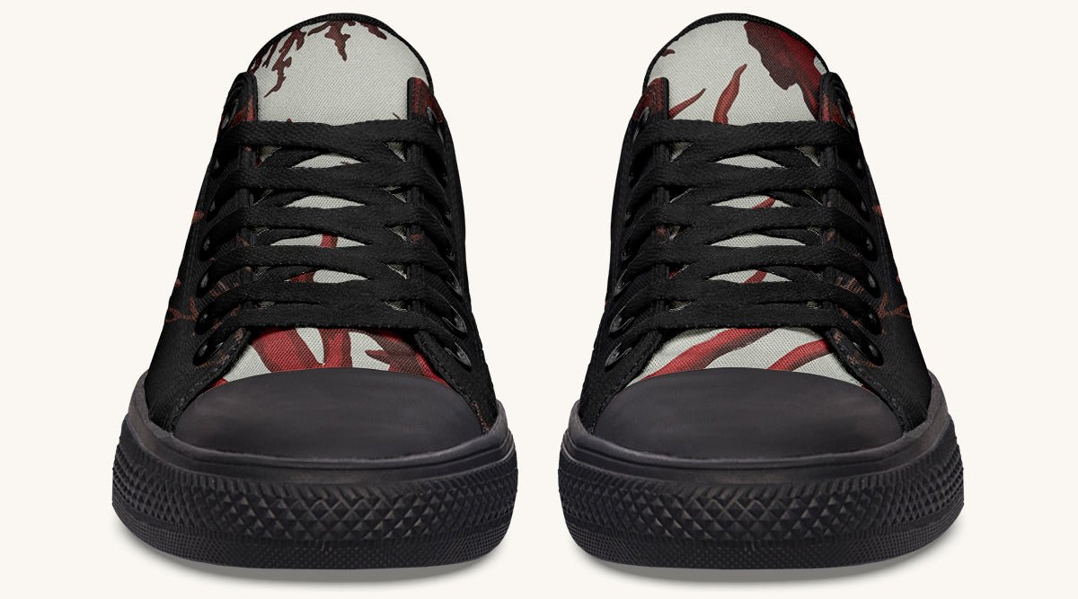 What Took Hold Lowtops - Jaded Lament