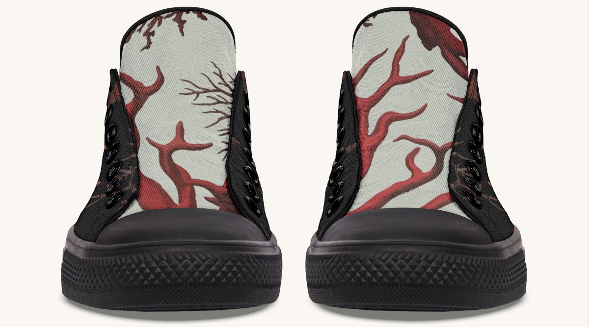 What Took Hold Lowtops - Jaded Lament