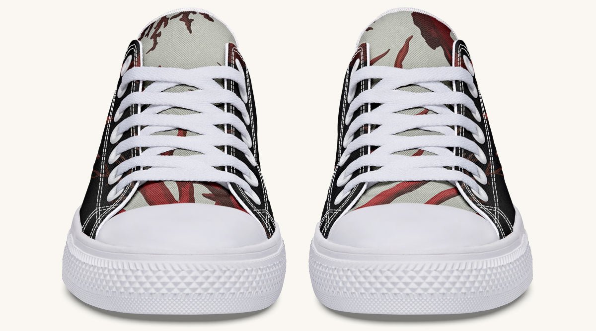 What Took Hold Lowtops - Jaded Lament