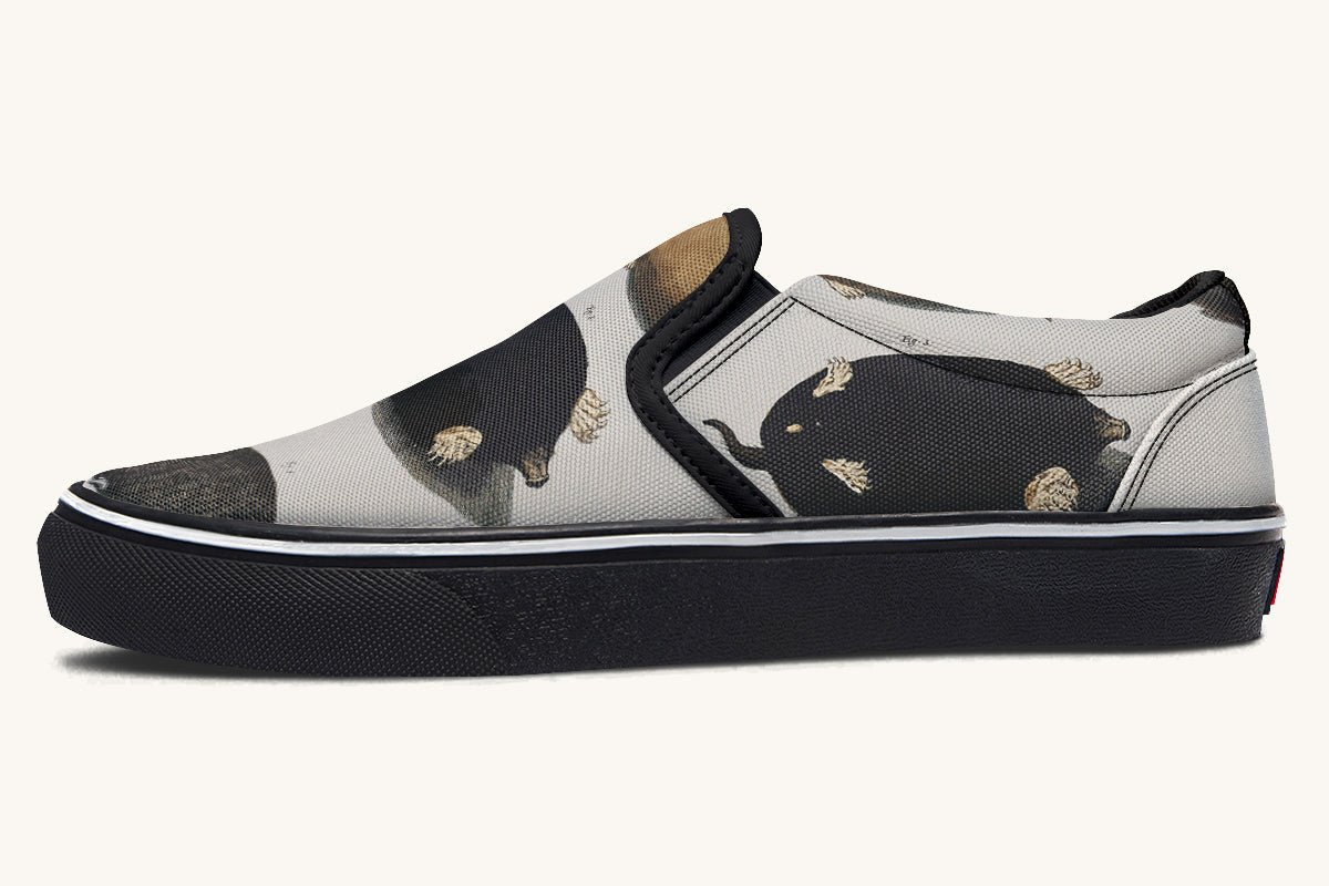 Check for Moles Slip On Shoes - Jaded Lament