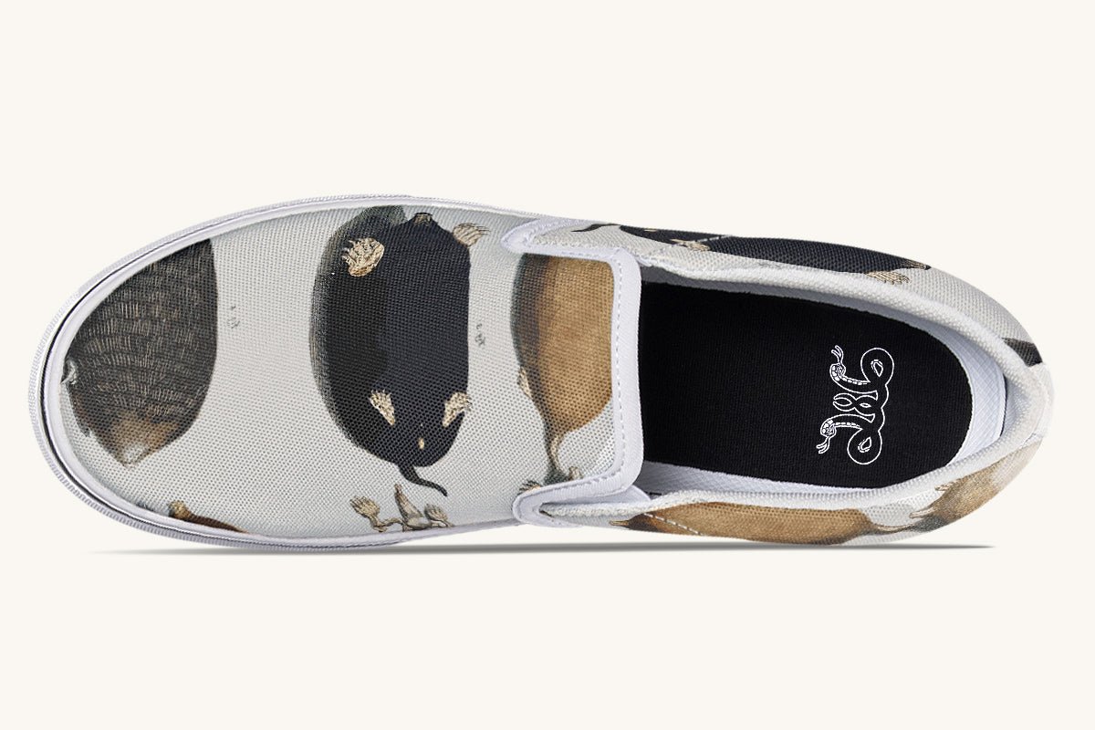 Check for Moles Slip On Shoes - Jaded Lament