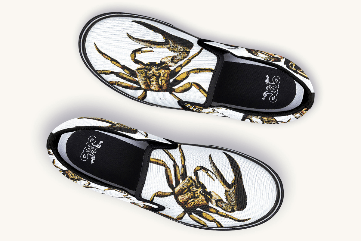 Crawl The Sea Of Stars White with Gold Slip On Shoes - Jaded Lament