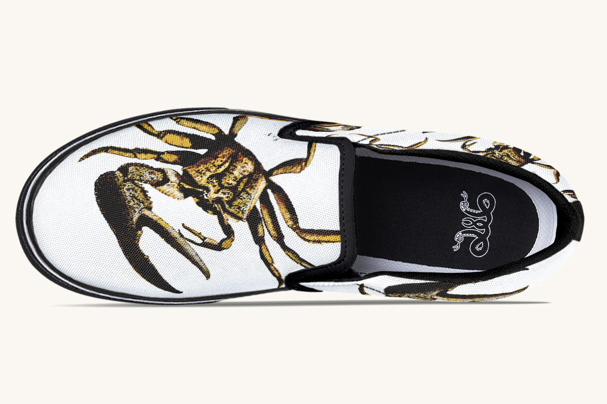 Crawl The Sea Of Stars White with Gold Slip On Shoes - Jaded Lament