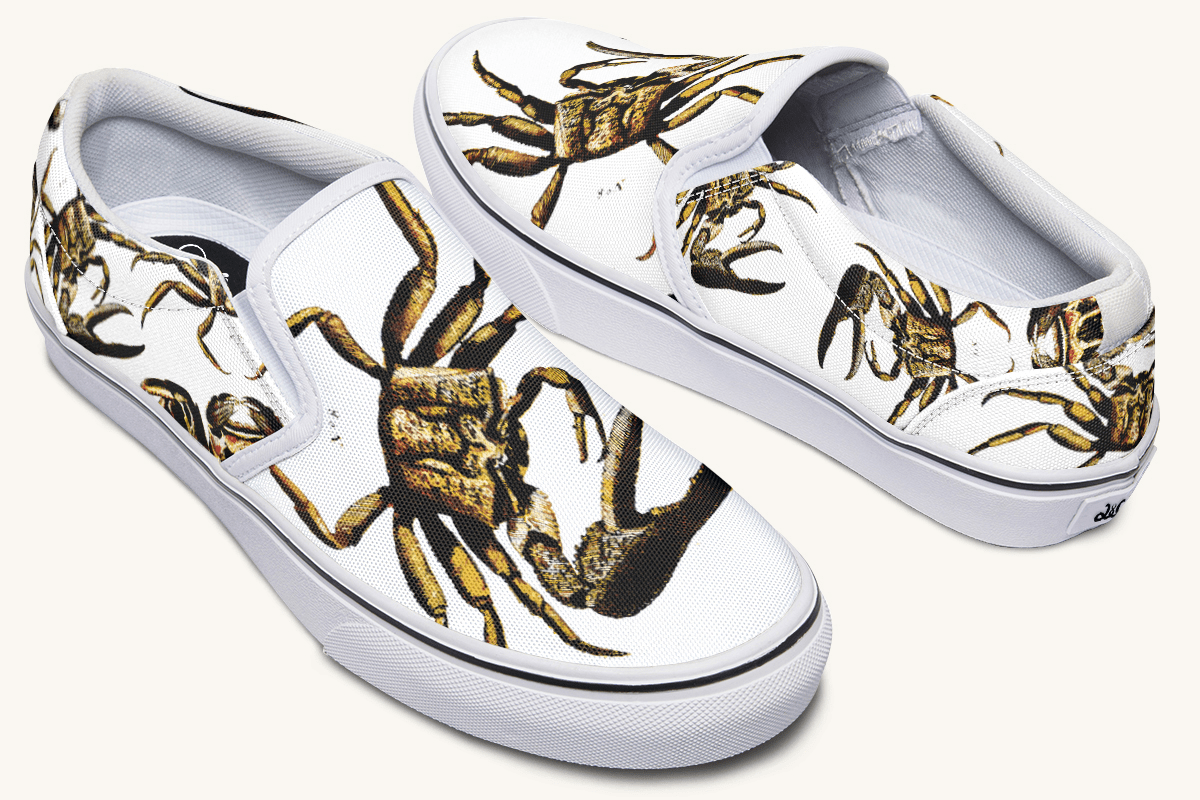 Crawl The Sea Of Stars White with Gold Slip On Shoes - Jaded Lament