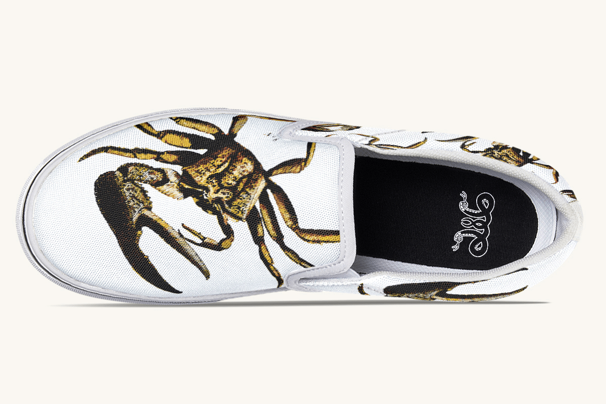Crawl The Sea Of Stars White with Gold Slip On Shoes - Jaded Lament