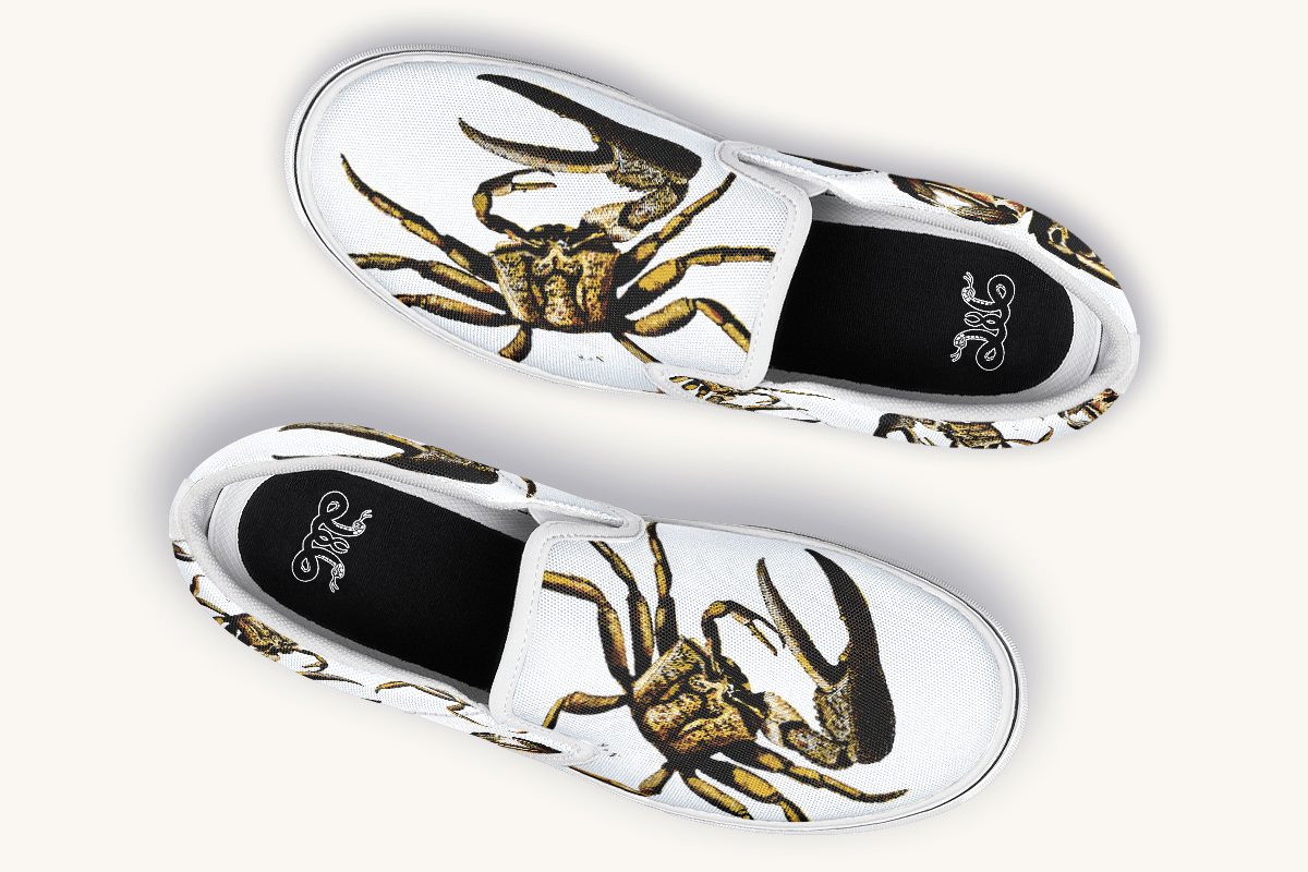 Crawl The Sea Of Stars White with Gold Slip On Shoes - Jaded Lament