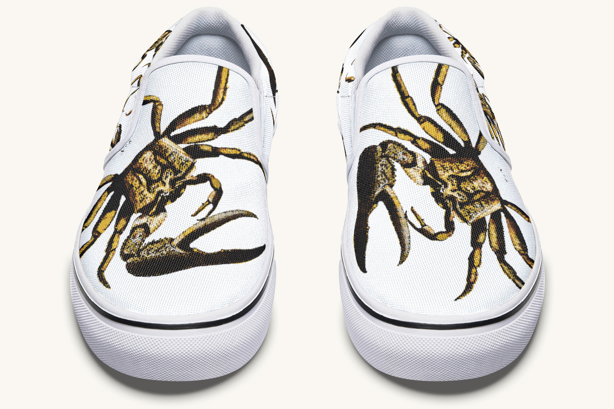 Crawl The Sea Of Stars White with Gold Slip On Shoes - Jaded Lament