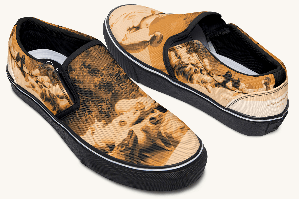 Swine Eyed And Listening To Circe Slip On Shoes - Jaded Lament