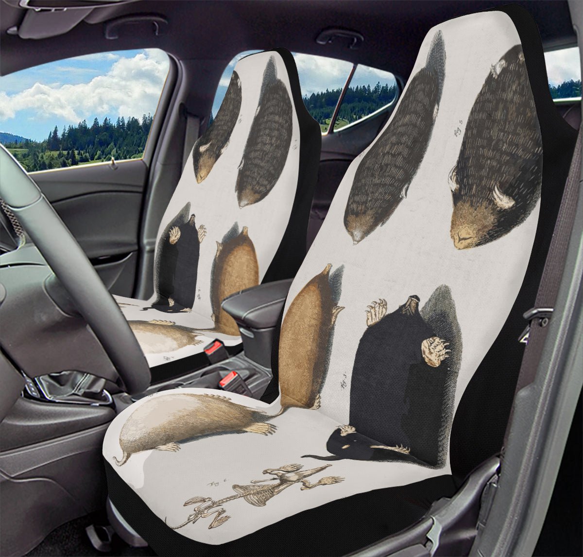 Check for Moles Car Seat Cover - Jaded Lament