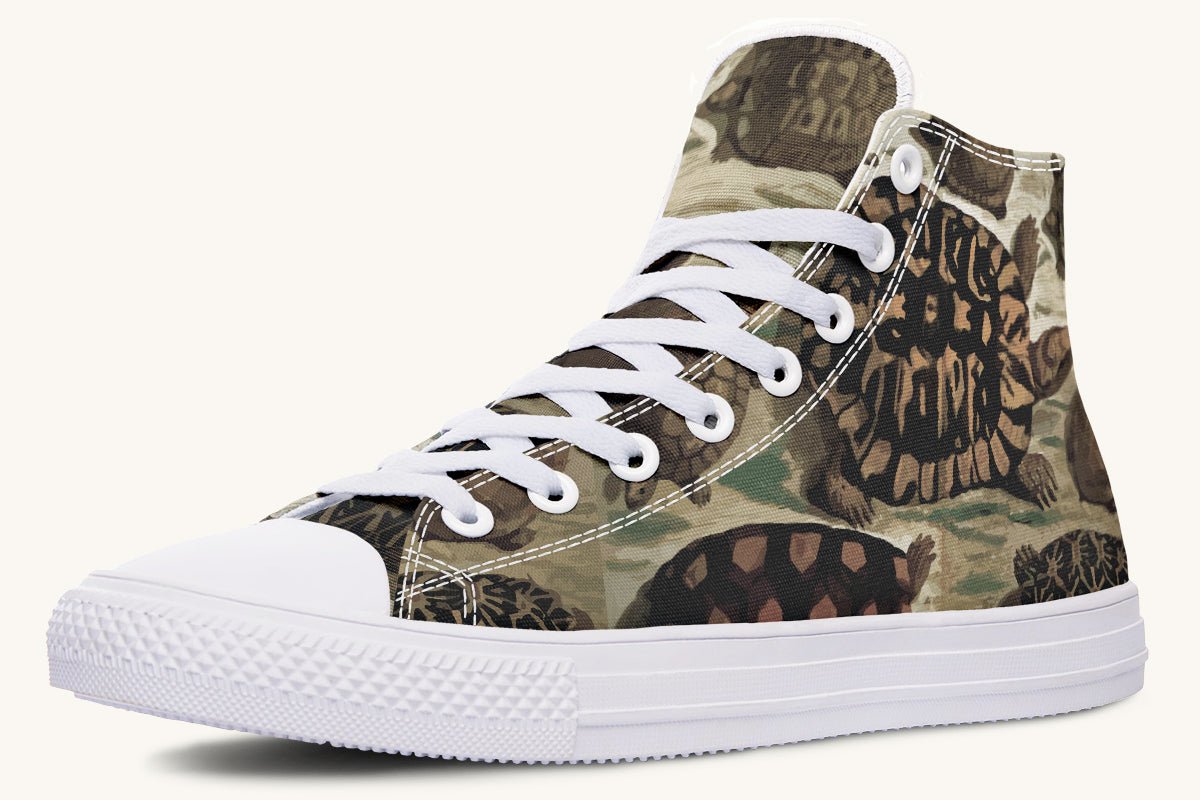 Turtle Time Vivid Hightops - Jaded Lament