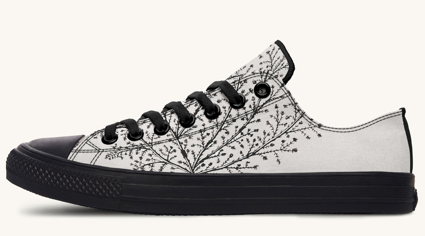 A Delicate Breath Bw Lowtops - Jaded Lament