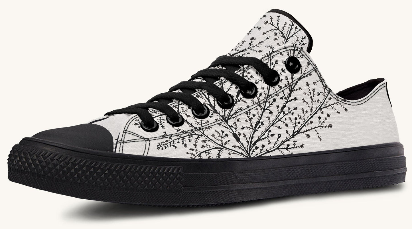 A Delicate Breath Bw Lowtops - Jaded Lament