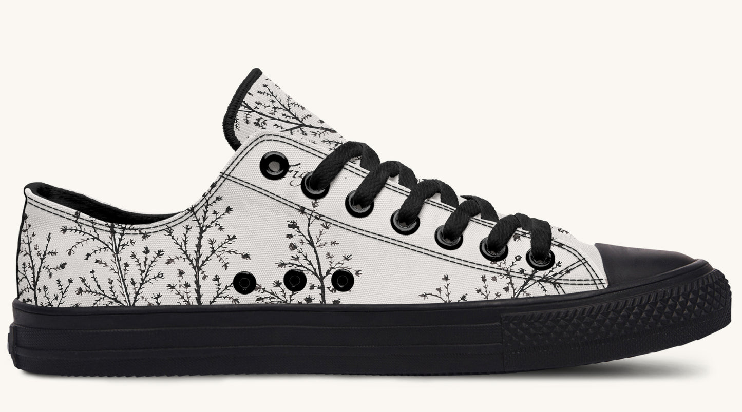 A Delicate Breath Bw Lowtops - Jaded Lament