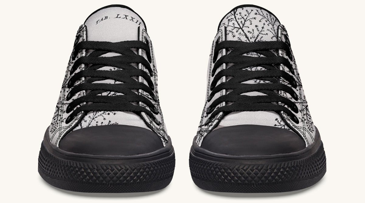 A Delicate Breath Bw Lowtops - Jaded Lament