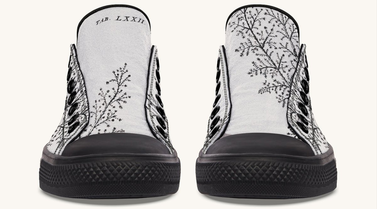 A Delicate Breath Bw Lowtops - Jaded Lament