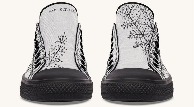 A Delicate Breath Bw Lowtops - Jaded Lament