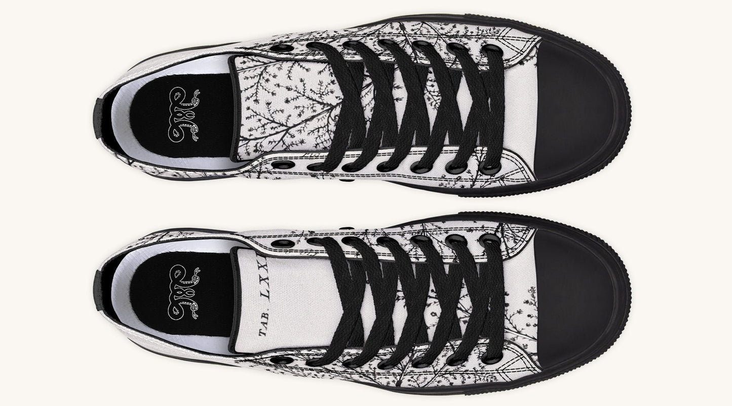 A Delicate Breath Bw Lowtops - Jaded Lament