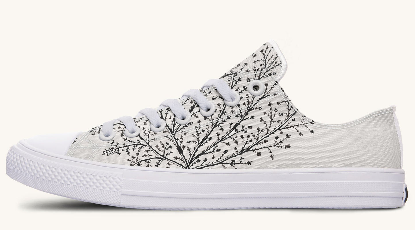 A Delicate Breath Bw Lowtops - Jaded Lament