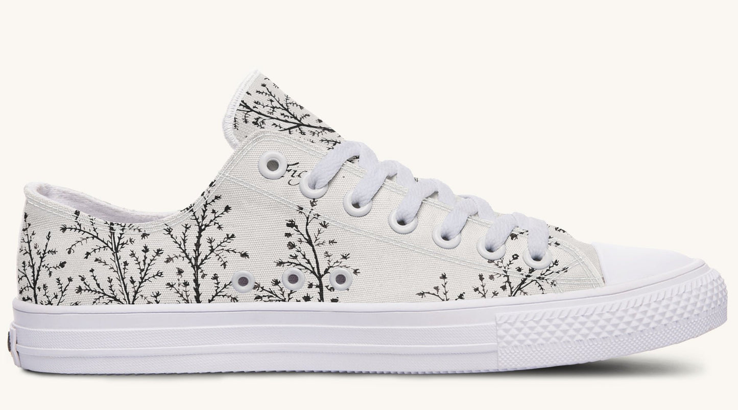 A Delicate Breath Bw Lowtops - Jaded Lament