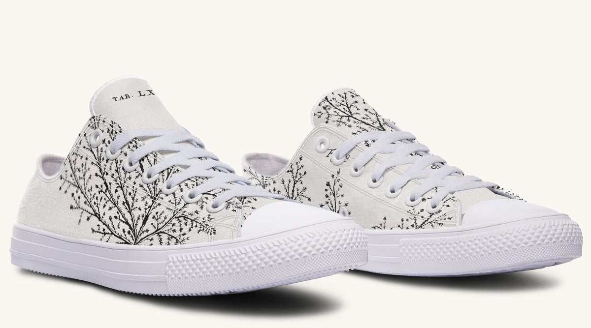 A Delicate Breath Bw Lowtops - Jaded Lament