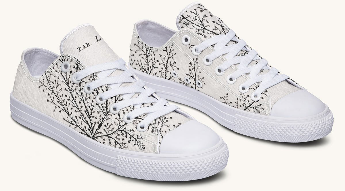 A Delicate Breath Bw Lowtops - Jaded Lament