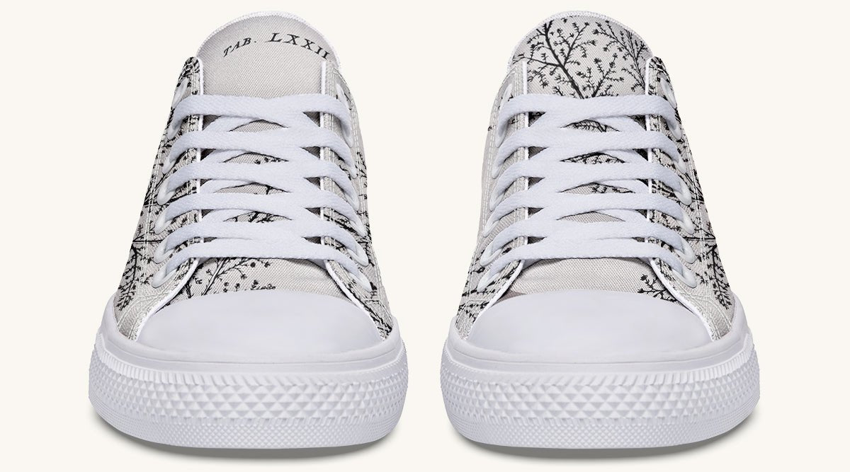 A Delicate Breath Bw Lowtops - Jaded Lament