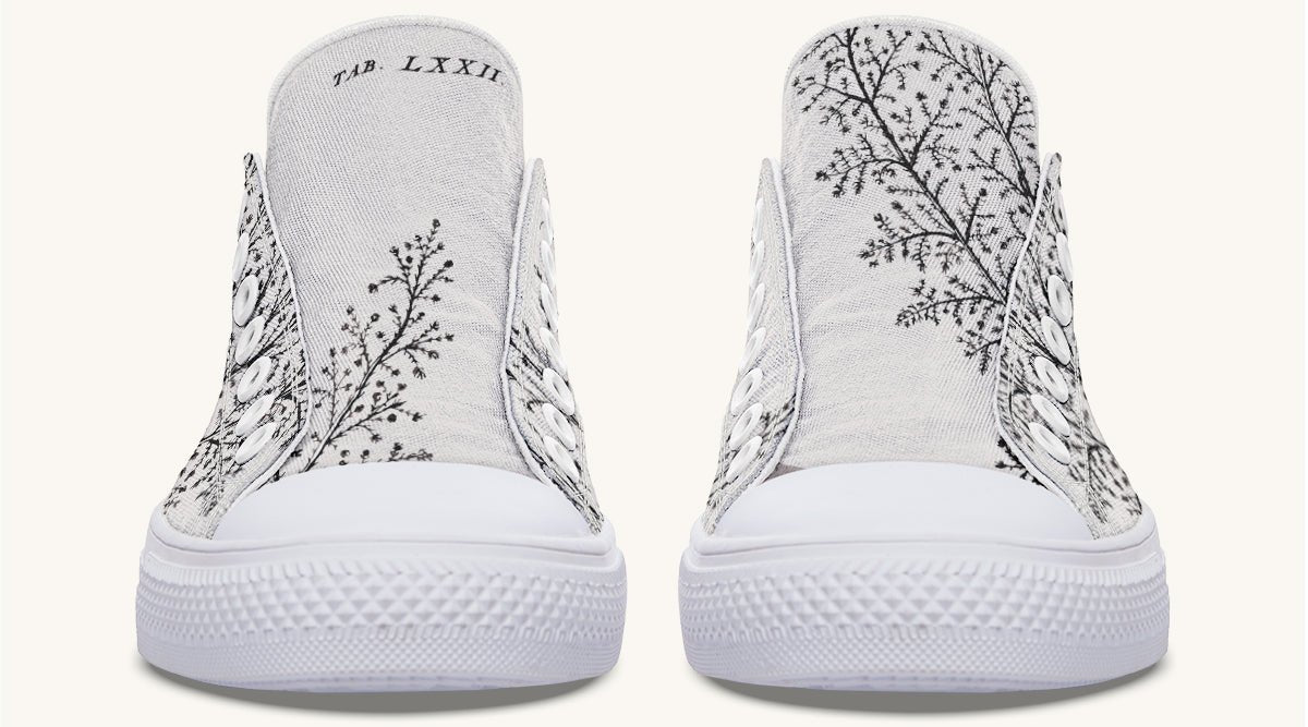 A Delicate Breath Bw Lowtops - Jaded Lament