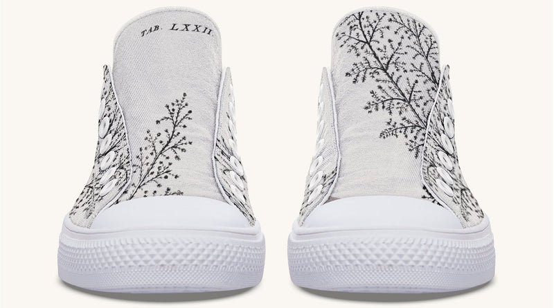 A Delicate Breath Bw Lowtops - Jaded Lament