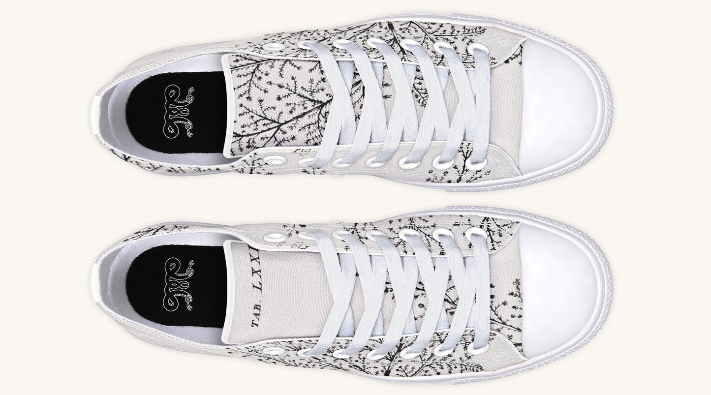 A Delicate Breath Bw Lowtops - Jaded Lament