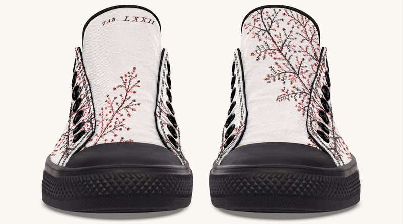 A Delicate Breath Red Lowtops - Jaded Lament