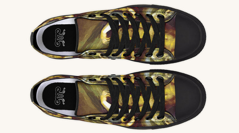 Achilles Weeps for Patroclus Lowtops - Jaded Lament