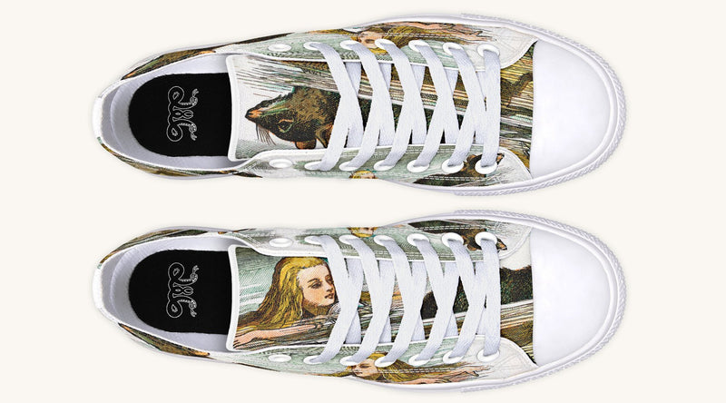 Alice and the Mouse Lowtops - Jaded Lament