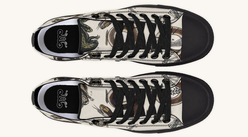 An Arrangement of Frogs and Snakes Lowtops - Jaded Lament