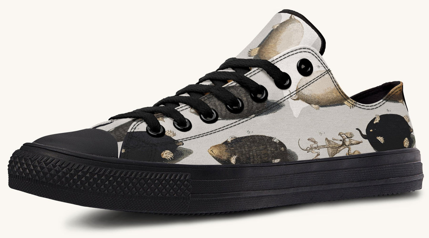 Check for Moles Lowtops - Jaded Lament