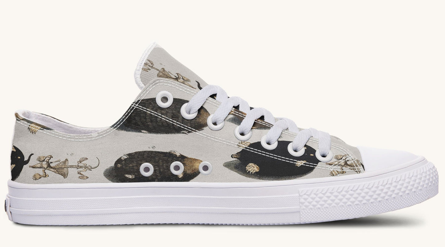 Check for Moles Lowtops - Jaded Lament