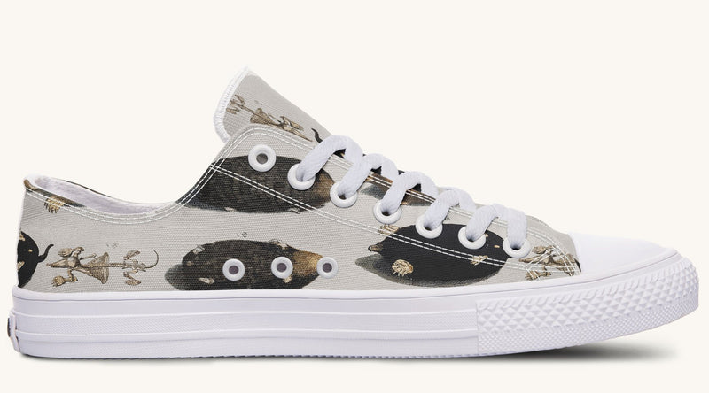 Check for Moles Lowtops - Jaded Lament