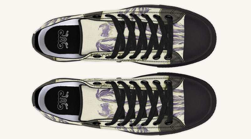 Hope Wears a Feather Emily Dickinson Lowtops - Jaded Lament