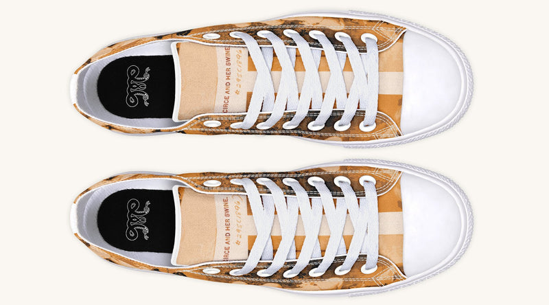 Swine Eyed And Listening To Circe Lowtops - Jaded Lament