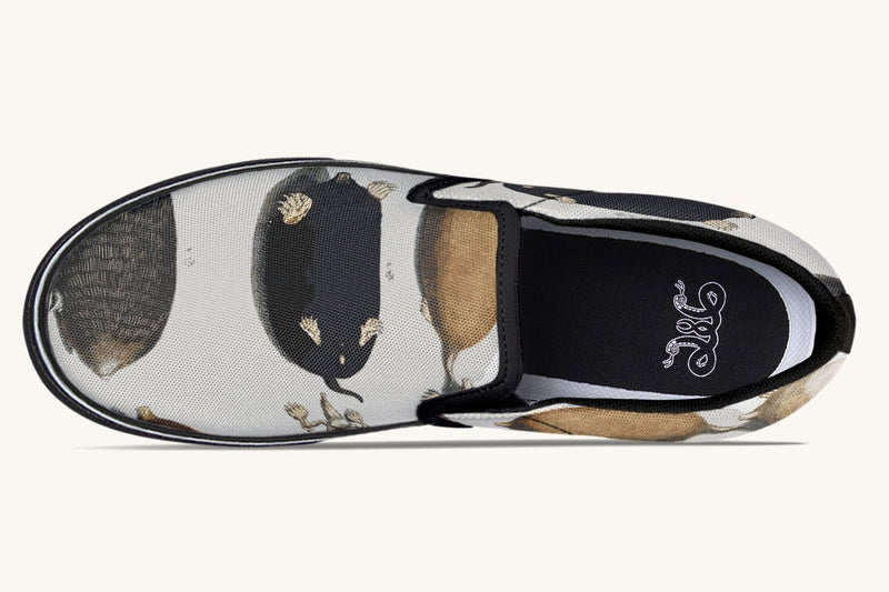 Check for Moles Slip On Shoes - Jaded Lament