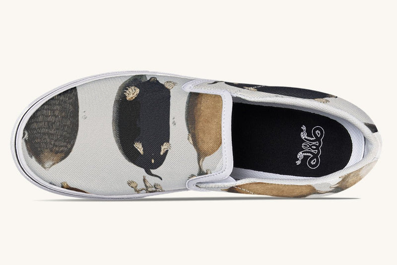 Check for Moles Slip On Shoes - Jaded Lament