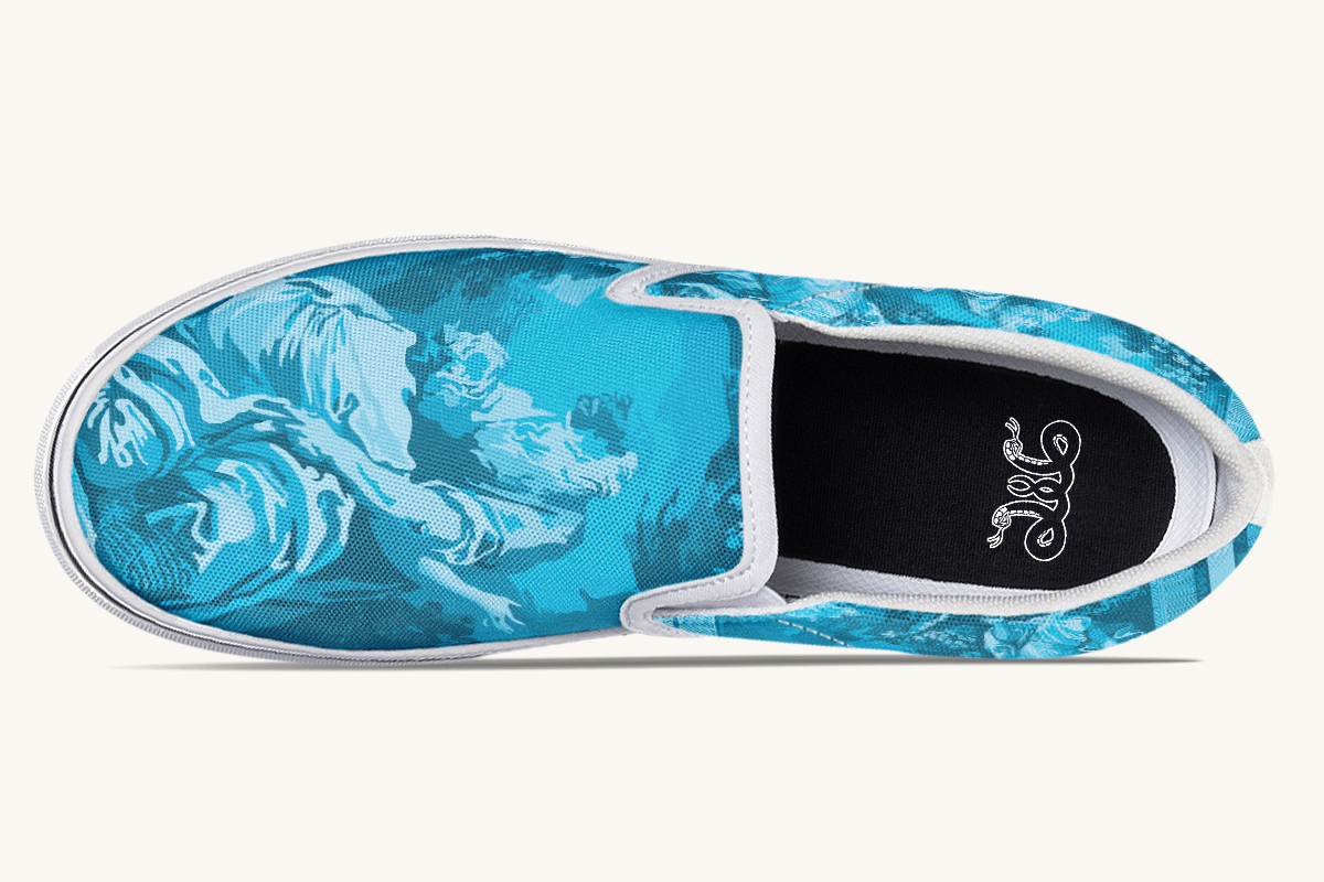 Mentor Disguised Slip On Shoes - Jaded Lament