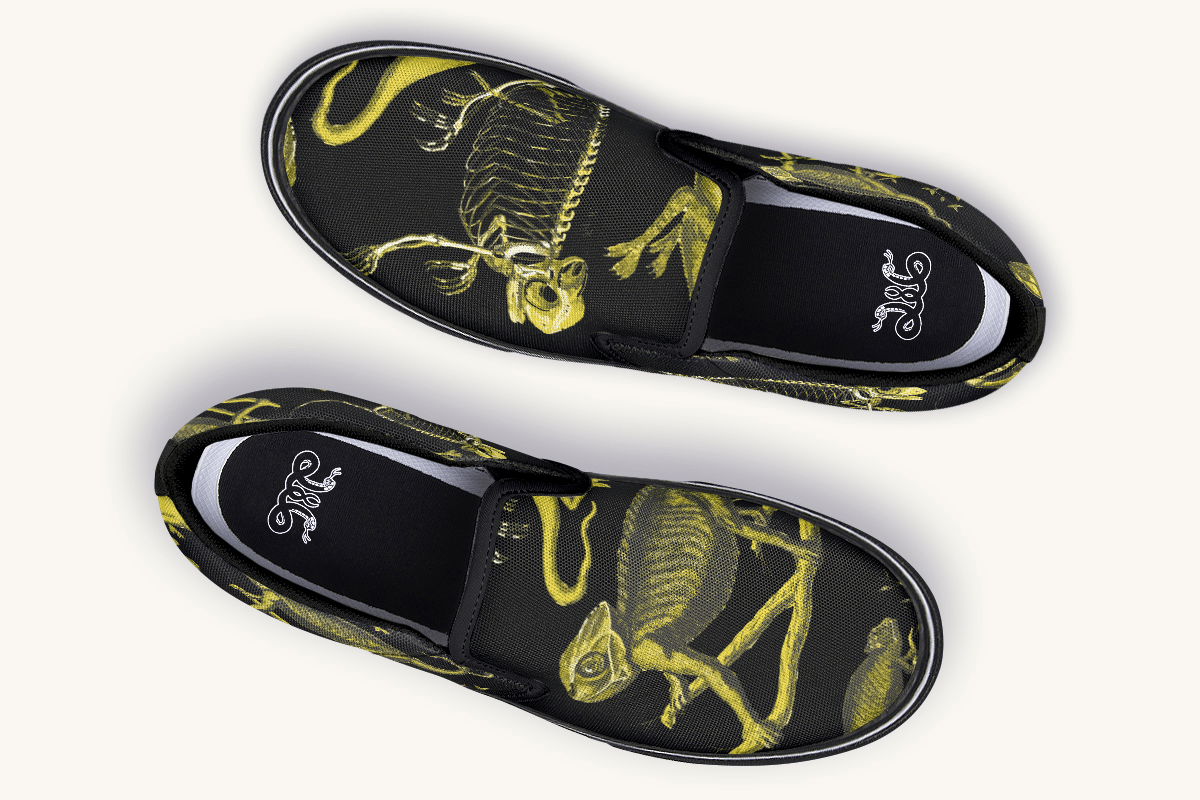 Reptilian In Bloom Reptilian in Bloom Black and Gold Slip On Shoes - Jaded Lament